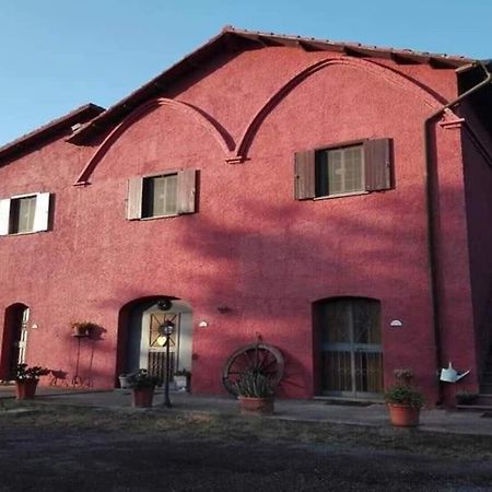 Il Baffetto B&B Rome Exterior photo