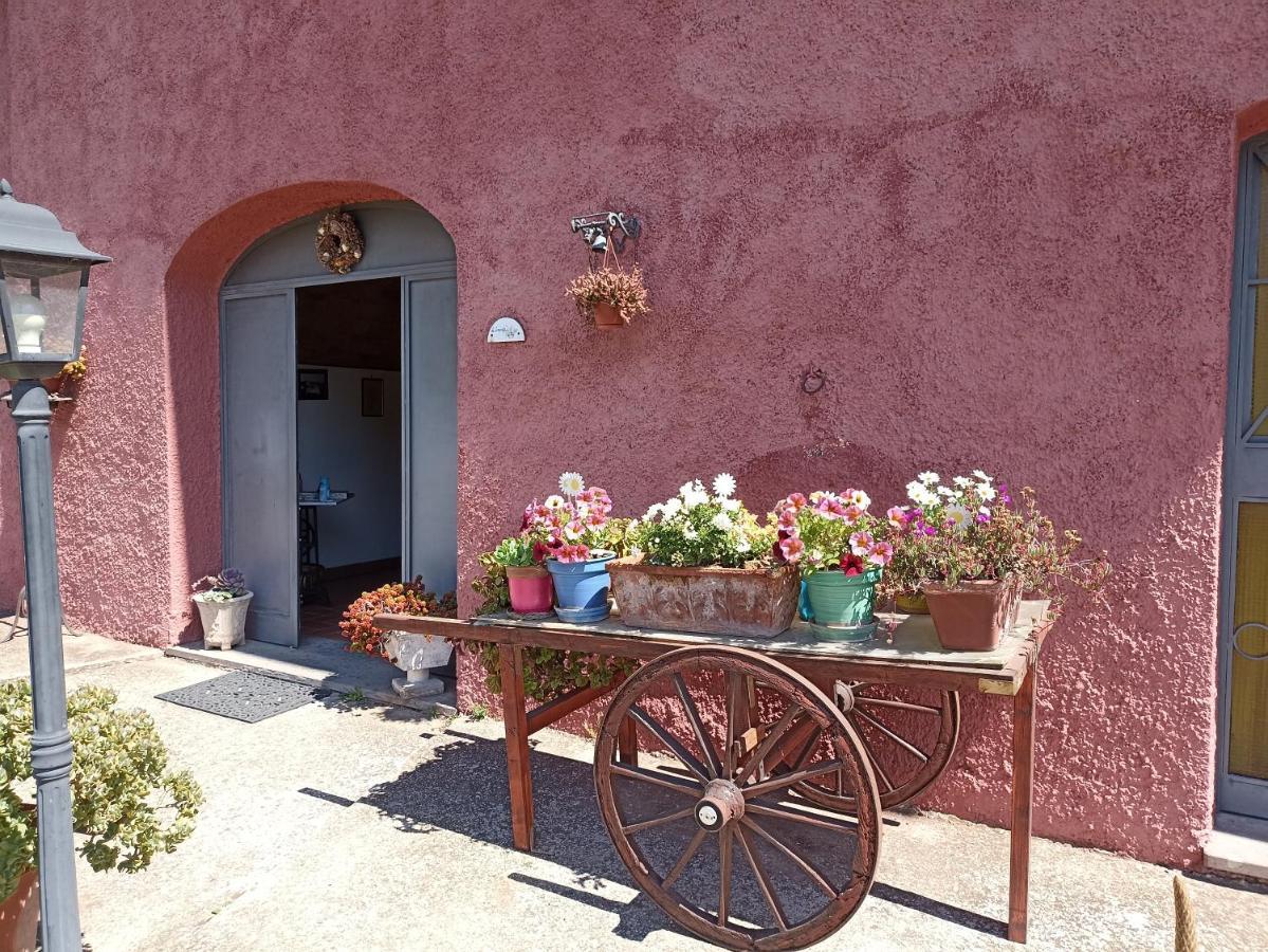 Il Baffetto B&B Rome Exterior photo