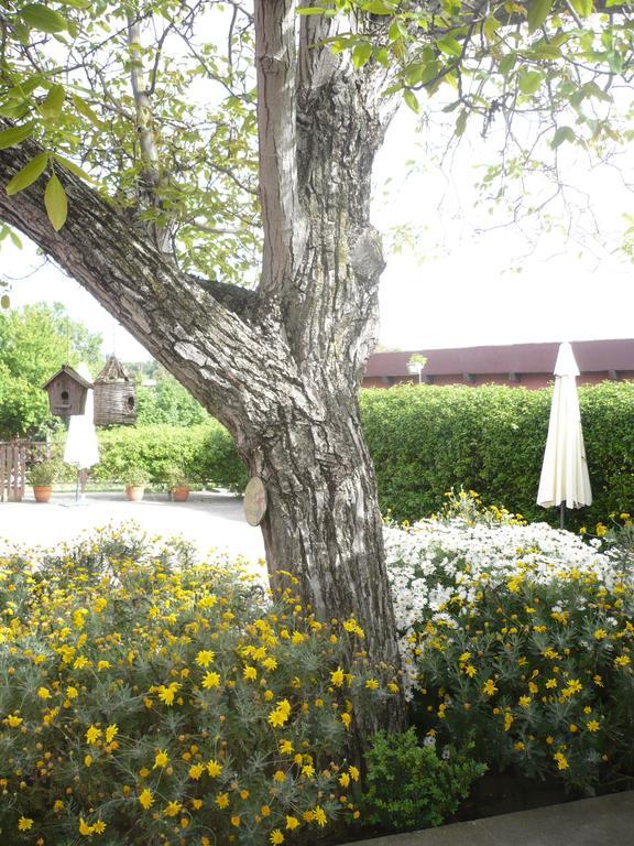 Il Baffetto B&B Rome Exterior photo