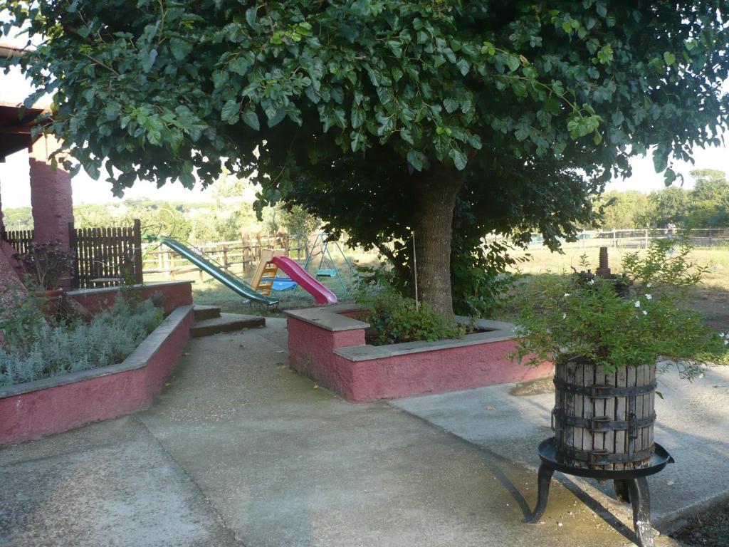 Il Baffetto B&B Rome Exterior photo