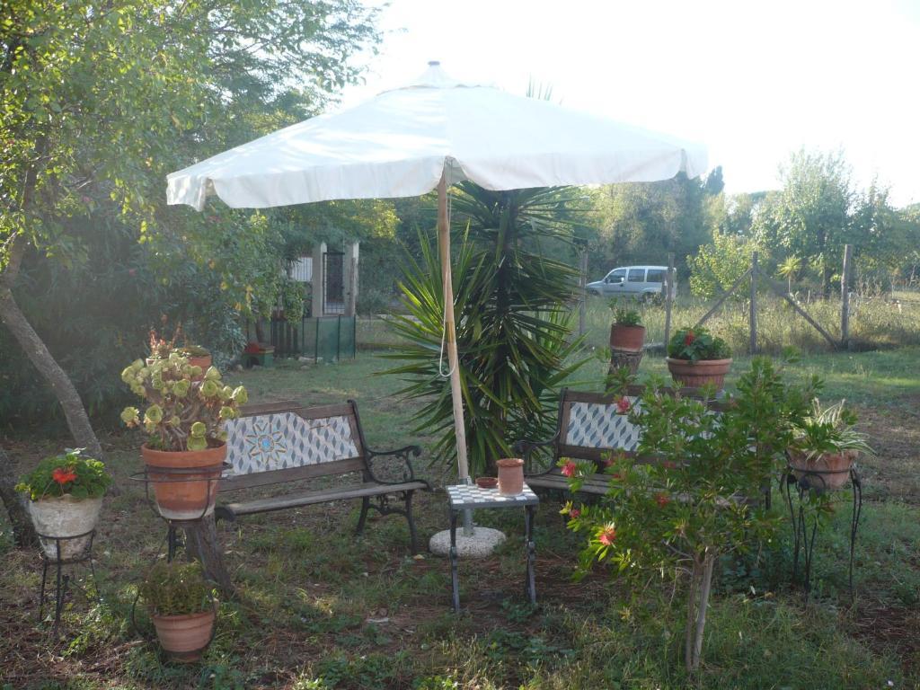 Il Baffetto B&B Rome Exterior photo